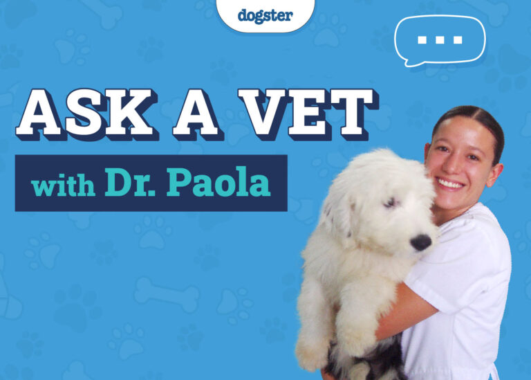 Ask Dr. Paola: Monday January 13, 2025