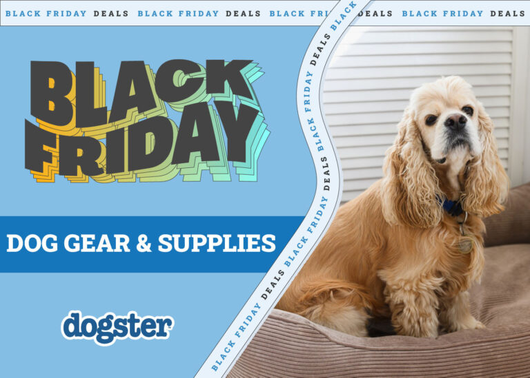 Black Friday/Cyber Monday Dog Deals 2024: Sales on Toys,
Beds, Supplies &amp; More