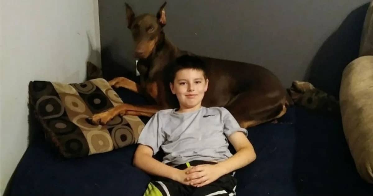 Boy ‘Sacrifices’ His Toys to Pay for Treatment of His Sick
Service Dog