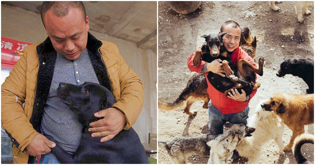 Man Buys Slaughterhouse And Turns It Into Dog
Sanctuary