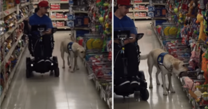 Man Takes His Service Dog on the Sweetest Birthday Shopping
Spree