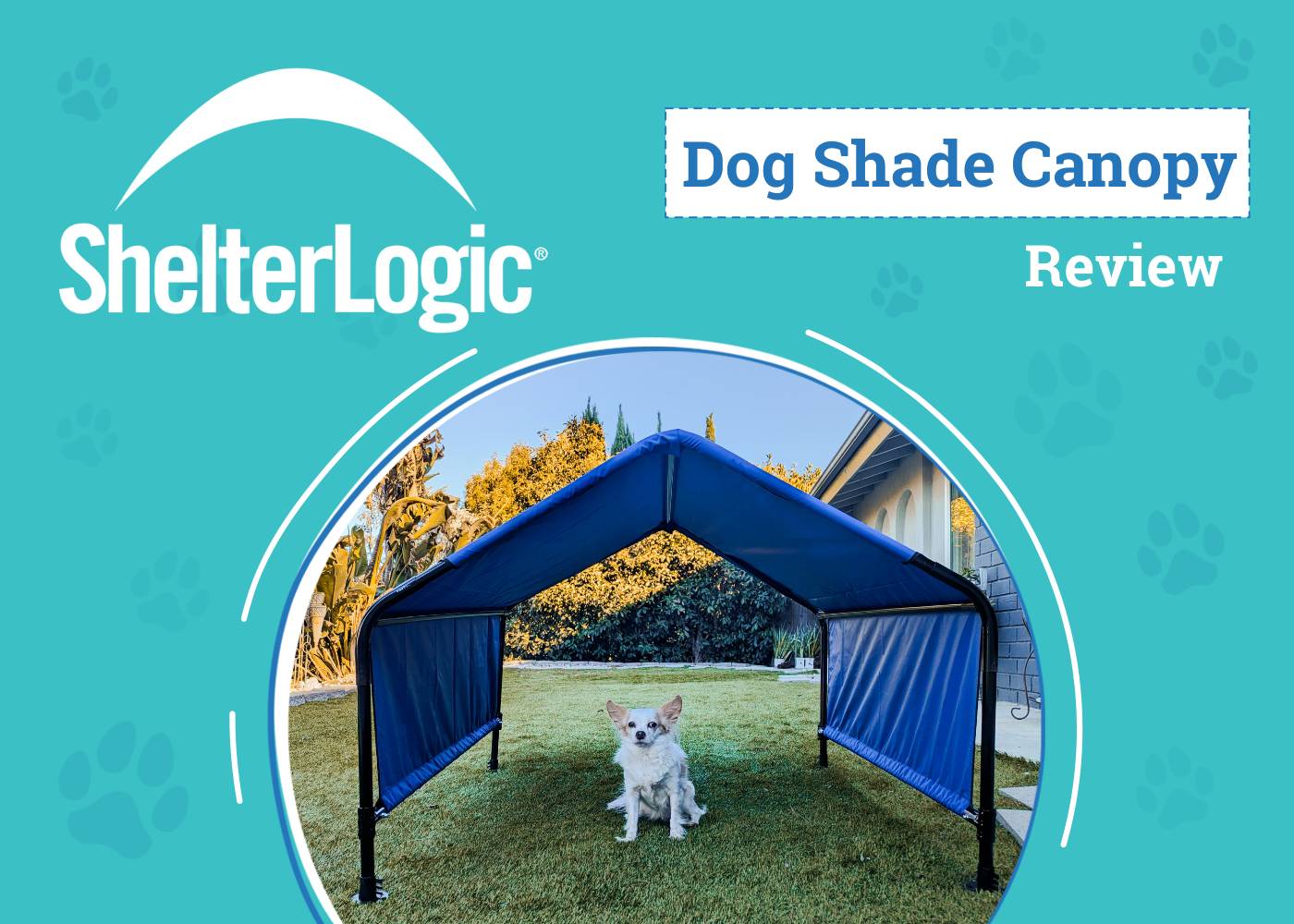 ShelterLogic Dog Shade Canopy Review 2024: Keeping Lorelei
Cool in the California Heat