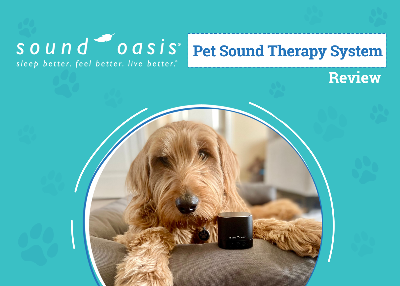 DOG_SAPR_Sound Oasis Pet Sound Therapy System - featured image