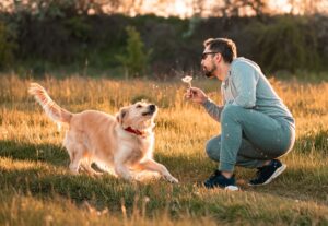 The 14 Dog Breeds Who Make the Best BFFs