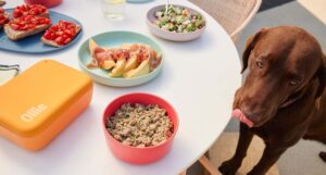 The Simplest Way To Keep Your Dog Healthy Starts With
Ollie