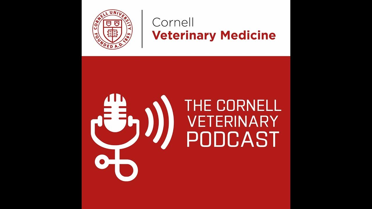 Veterinary Adventures: A Journey with Dr. Paul Maza