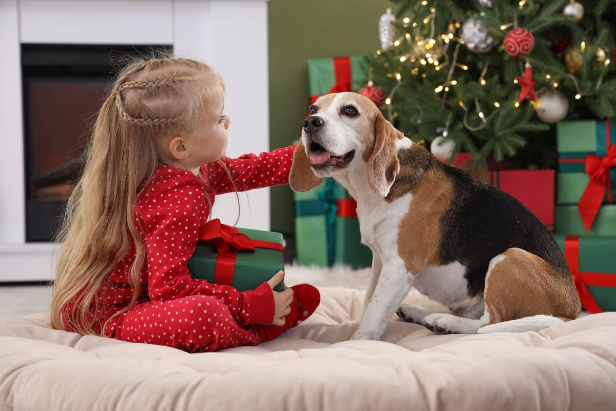 11 Dog Breeds Famous For Their Gentle Nature Around Kids
This Holiday Season