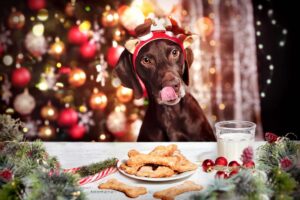 11 Dog-Friendly Christmas Foods Your Pup Will Absolutely
Love