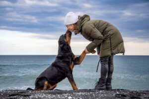 11 Ways Dogs Prove They’re Masters Of Loyalty And
Devotion