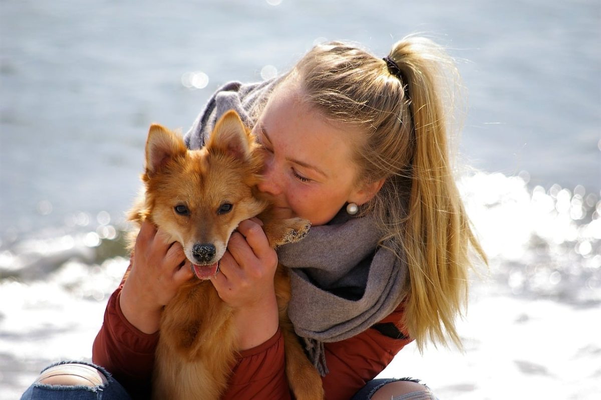 13 Reasons Dogs Deserve All Our Gratitude And Love