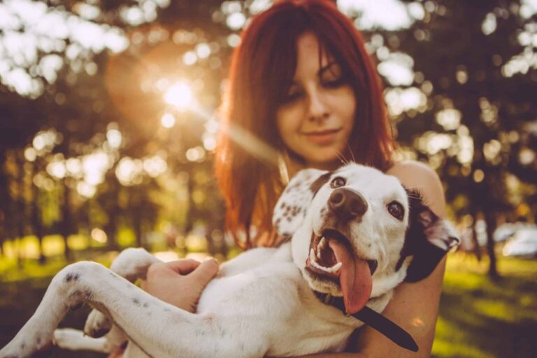 13 Signs Your Dog Is Living Their Happiest Life By Your
Side