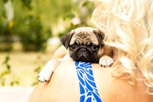 15 Adorable Dog Breeds That Turn Every Snuggle Into A
Memory