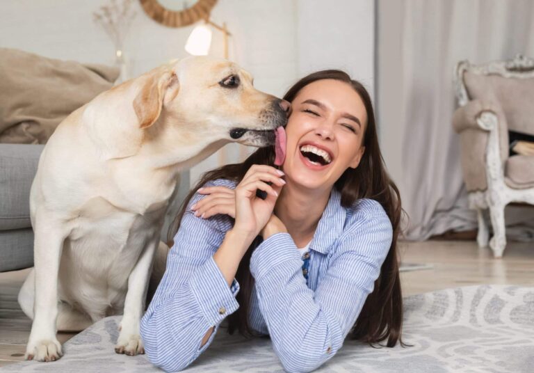 15 Adorable Moments That Prove How Much Dogs Truly
Care