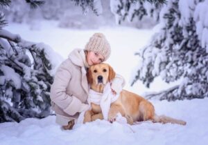 15 Dog Breeds That Make The Ultimate Cuddle Buddies This
Winter