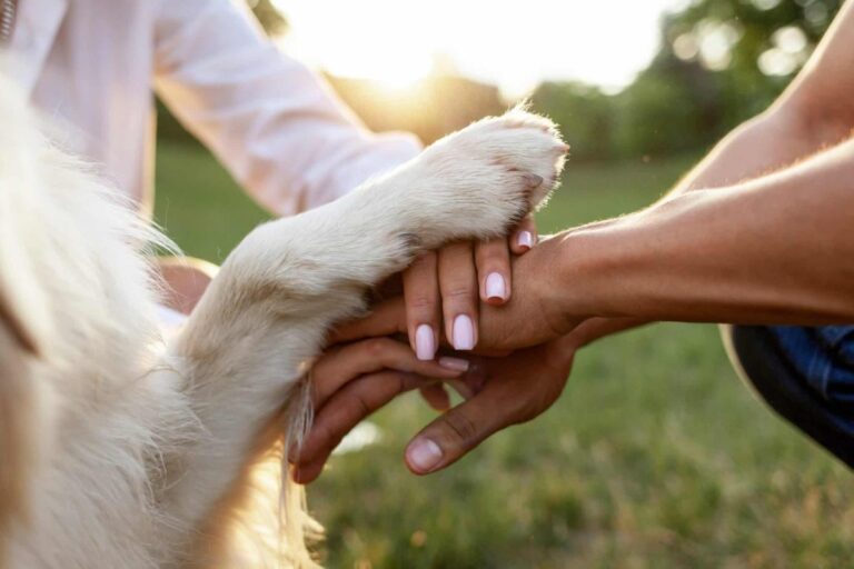 15 Heartwarming Reasons Dogs Are The Ultimate
Healers