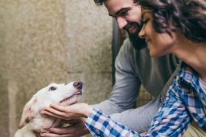 15 Reasons Why Adopting Is The Best Choice You’ll Ever
Make