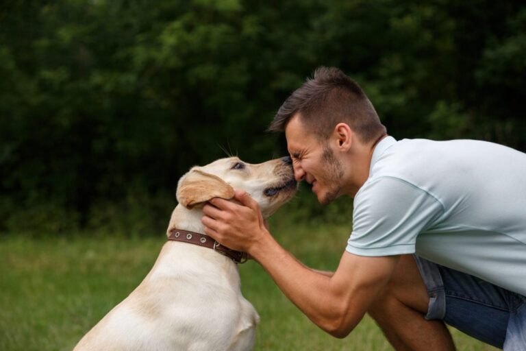 15 Sweet Ways Dogs Quietly Show You How Much You Mean to
Them