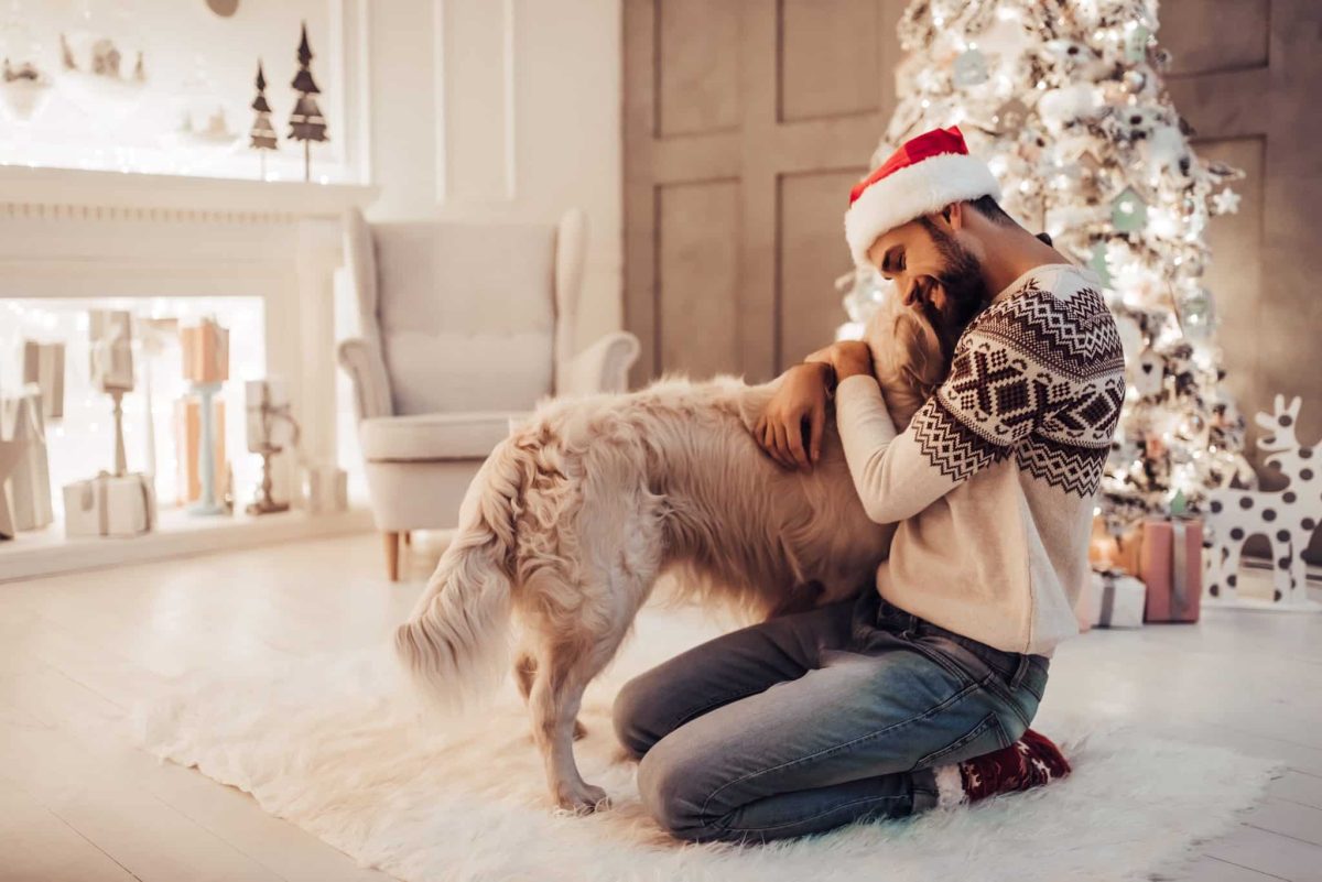 15 Ways Dogs Teach Us To Embrace The True Spirit Of
Christmas