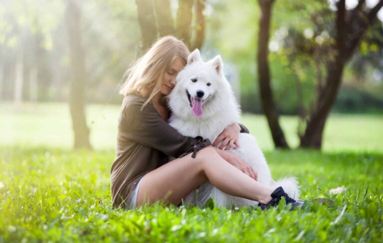 16 Dog Breeds Who Are The Epitome Of Good Behavior