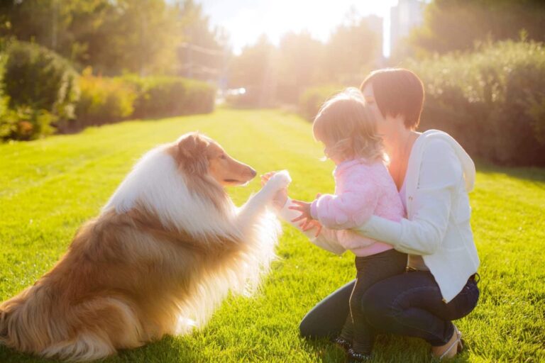 17 Playful Yet Patient Dog Breeds Kids Will Love