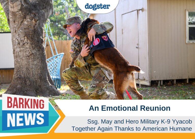 An Emotional Reunion of Ssg. May and Hero Military K-9
Yyacob Thanks to American Humane