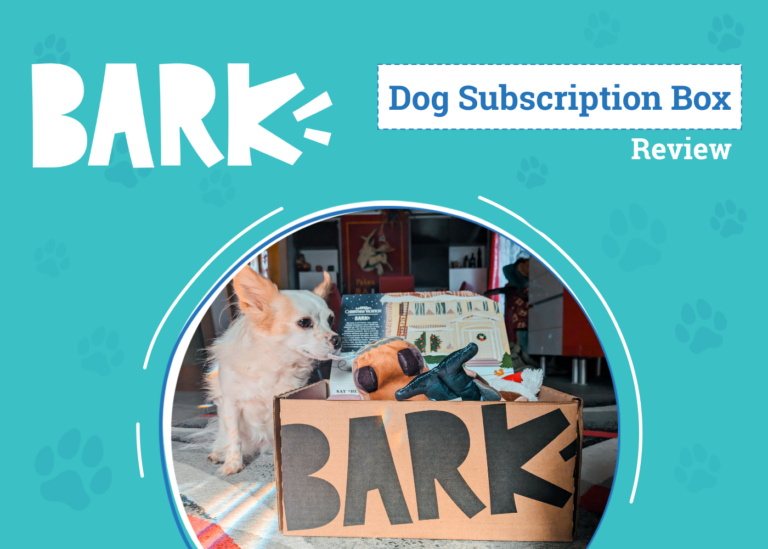 BarkBox Subscription Review 2024: Keeping Your Dog Excited
Month After Month