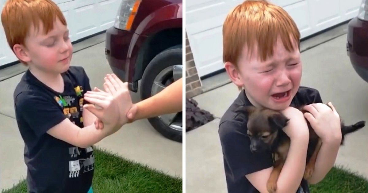 Boy Was Saving Up To Buy Puppy, Grandma Asks Him To Close
His Eyes &amp; Stretch His Arms