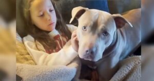 Dog ‘Finds Her Way’ To Family, Becomes Weighted Blanket For
Girl On Spectrum