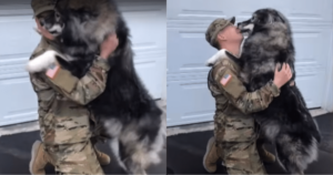 Dog’s Guarded Reaction to Soldier Changes with One Whiff of
Familiarity