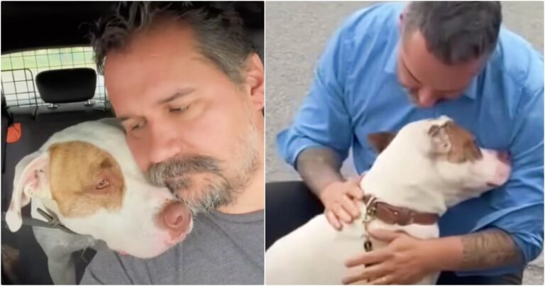 Man Learns His Dog Belongs To Someone Else