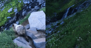 Mystery Tour Guide Takes Woman to a Beautiful Hidden
Waterfall