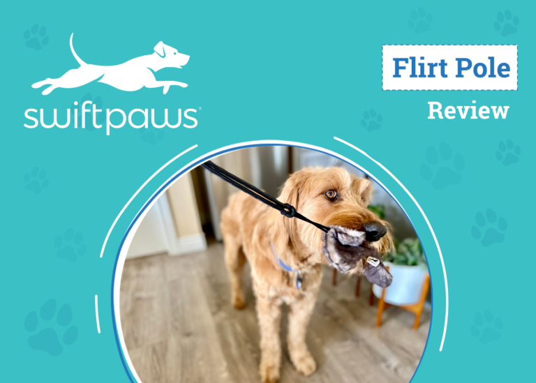 SwiftPaws Flirt Pole Review 2024: The Ultimate Toy to
Exercise Your Pup