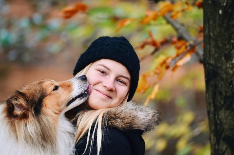 Top 11 Dog Breeds That Turn Every Moment Into a Heartwarming
Memory