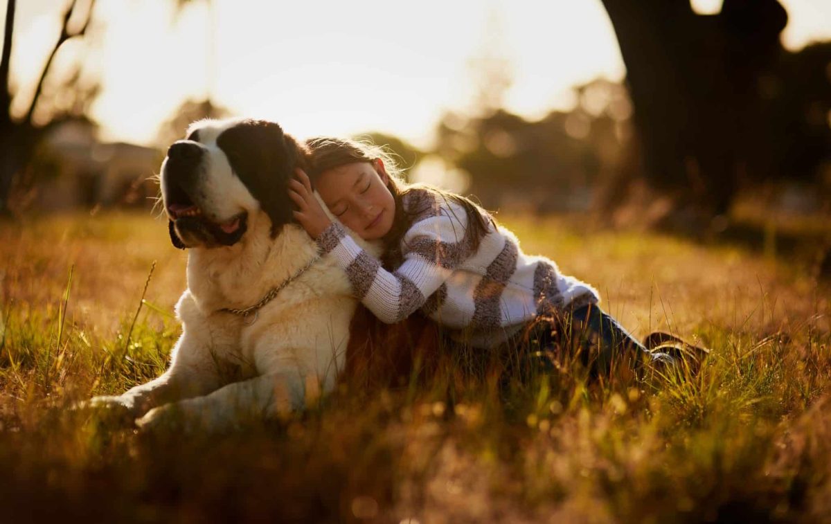 Top 11 Ways Dogs Show You They’re Always by Your
Side