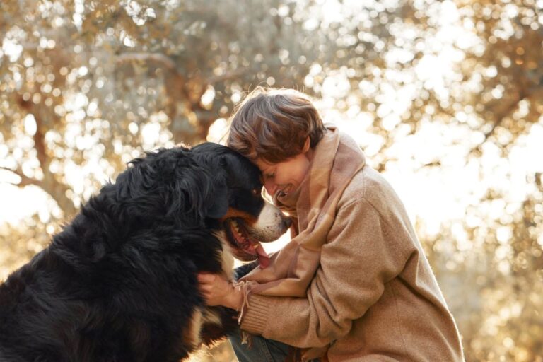 Top 15 Ways Dogs Teach Us To Love Without Fear