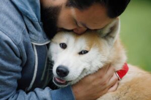 Top 7 Dog Breeds That Will Change The Way You See
Loyalty