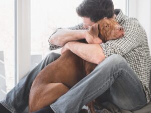 Ultimate 15 Dog Breeds That Will Never Let You Feel
Alone