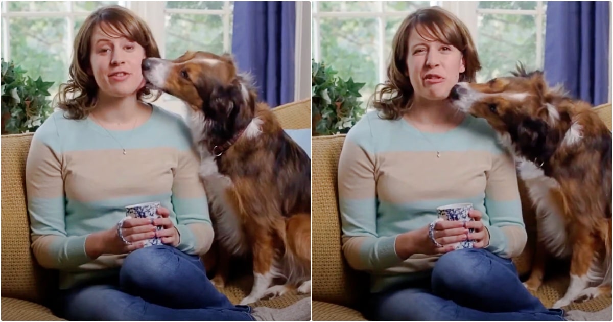 Vet Discusses How Dogs Feel If You Stop Them From Licking
You