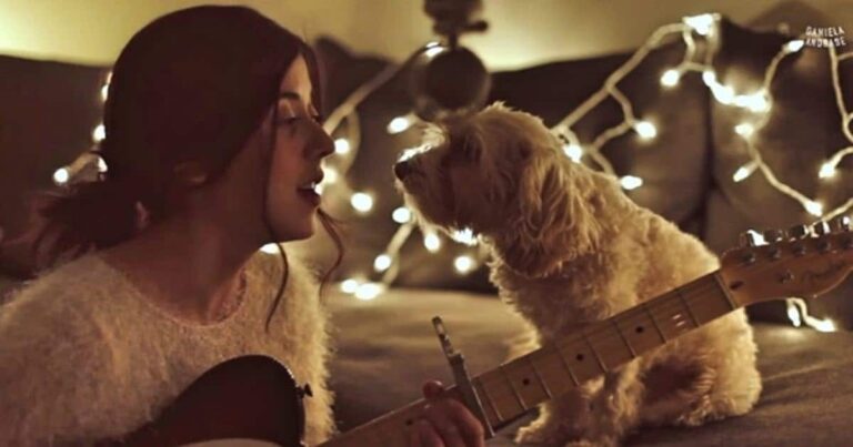 Woman Beautifully Serenades Her Dog With A Christmas Song
And It’s Beautiful Beyond Words