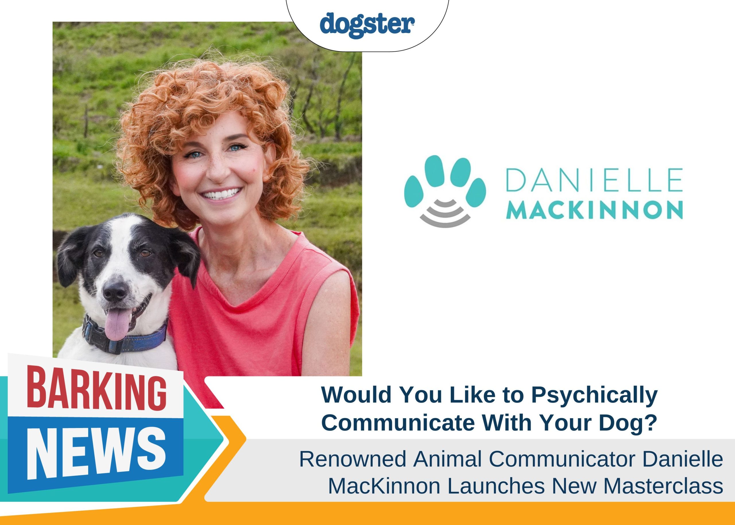 Would You Like to Psychically Communicate With Your Dog?
Renowned Animal Communicator Danielle MacKinnon Launches New
Masterclass