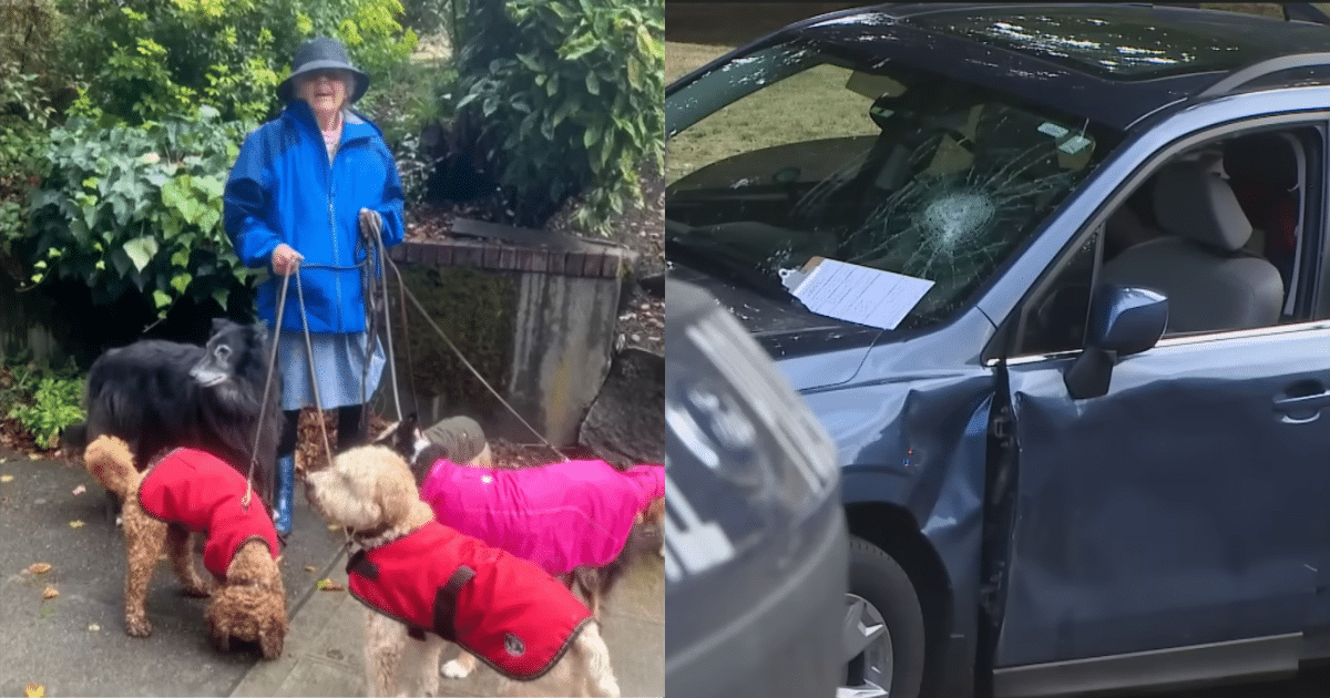 80-Year-Old Seattle Woman Tragically Killed Defending Her
Dogs in Carjacking