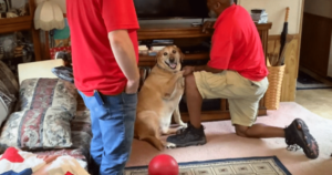 Cable Guy’s Adorable Bond with Dog Will Brighten Your
Day