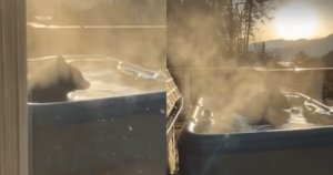 Man’s Backyard Turns Into a Bear Spa With Jacuzzi
Surprise