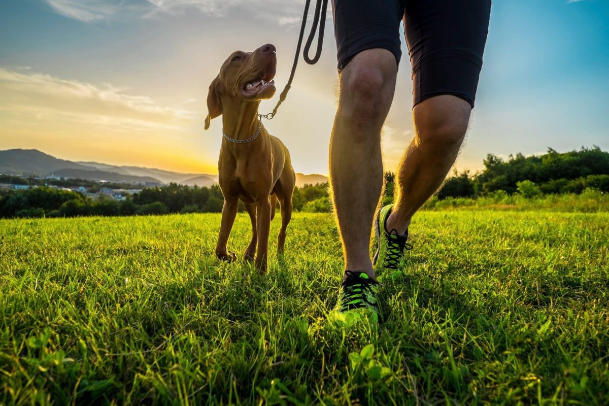 Top 13 Reasons Your Dog Brings Out The Best In You