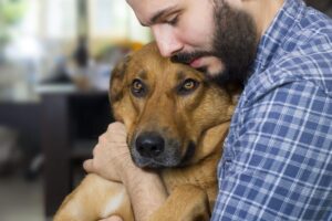 Top 15 Reasons Dogs Will Always Be Our Most Loyal
Friends