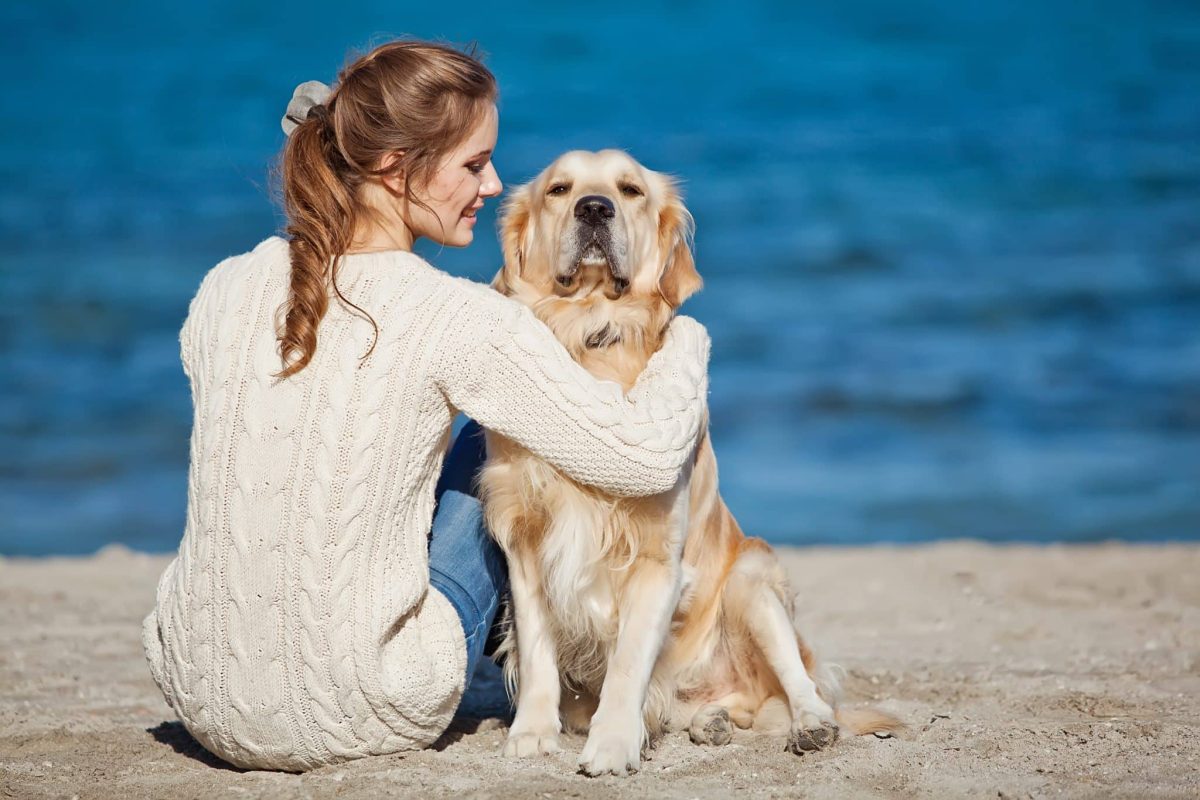 Top 7 Dog Breeds That Will Be Your Best Friend
Forever