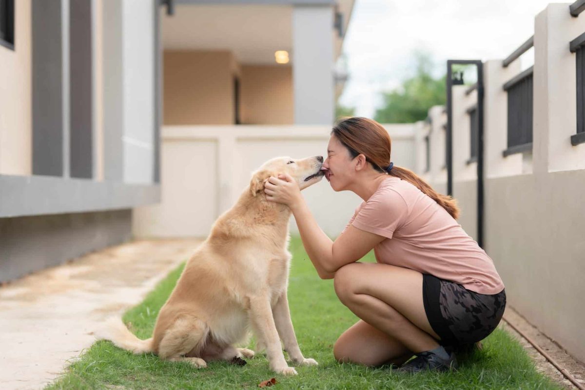 Top 9 Dog Breeds Who’ll Greet You Like A Hero Every Time You
Walk Through The Door