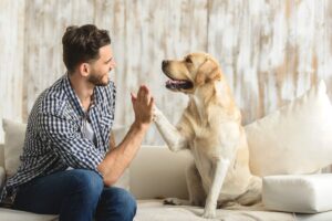 Top 9 Signs Your Dog Can Sense Your Emotions And Wants To
Help