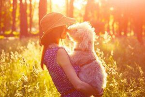 Top 9 Signs Your Dog Relies on You More Than You
Realize