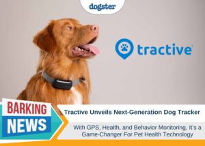 Tractive Unveils Next-Generation Dog Tracker with Health and
Behavior Monitoring